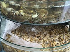 -蓝珊甄选海鲜自助·火锅大排档(近阿那亚店)
