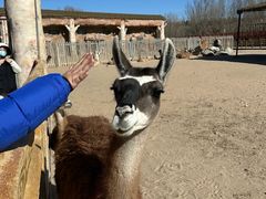 -鄂尔多斯野生动物园