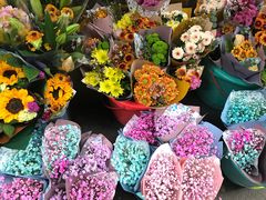 -循礼门鲜花花市(武汉循礼门店)