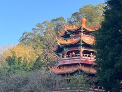 -神光山国家森林公园