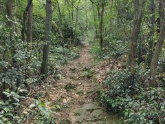 -午潮山国家森林公园