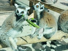 -水上乐园·欢乐世界