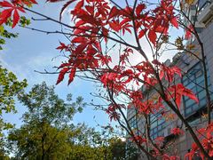 -丽晶大班SPA(大沽店)