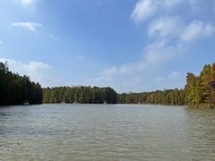 -上海海湾国家森林公园