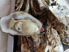 -渔民船说·北塘海鲜·天津菜·海肠捞饭(北塘古镇店)