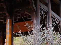 -杭州植物园