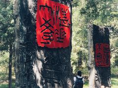 -清华大学-甲所餐厅