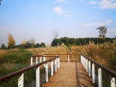 -田峪河公园