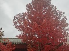 -西宁市人民公园(城西区)