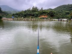 -梧桐山风景名胜区