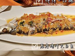 -绿杨春·淮扬宴(庐山路店)