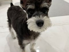 -FAELING PETS美天灵宠物(富力广场店)