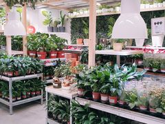 -宜家家居(西安未央商场店)