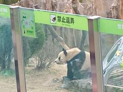 -大连森林动物园