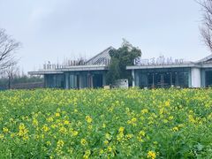 -田园东方蜜桃村的田野营地