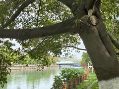 -成都市活水公园