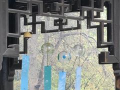 -乌镇景区
