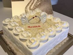 -BLACKSWAN黑天鹅(环球店)