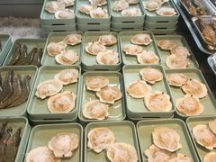 扇贝-蚝英雄·鲜蚝自助专门店(洋桥店)