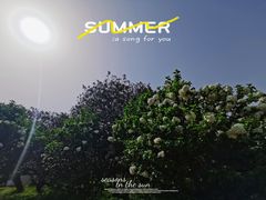 -上海共青森林公园