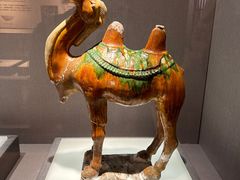 -景德镇中国陶瓷博物馆