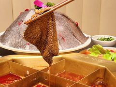 -蜀九香火锅(彩虹店)