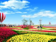 -洪湖湿地生态园