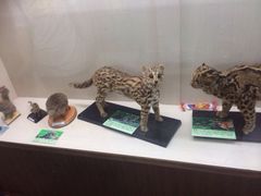 iphone_upload_pic-下渚湖国家湿地公园科普馆