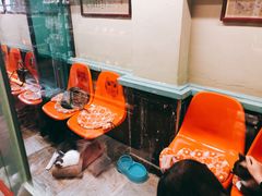 -猫咪博物馆(顶澳仔猫街店)