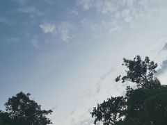 -中南大学-食堂第3食堂