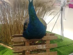 -万达广场(盐城盐都店)