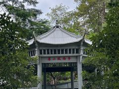 -神光山国家森林公园