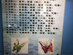 -上海昆虫博物馆