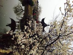 iphone_upload_pic-林屋洞景区
