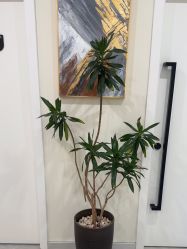 -海涛医疗美容·面部抗衰·注射美鼻