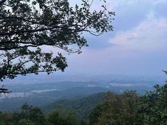 -紫金山山顶公园