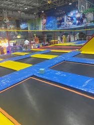 -爱丽丝奇幻乐园