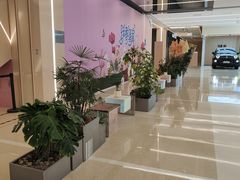 -凯德MALL(望京店)