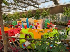 -南宫五洲植物乐园