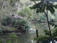 -中国科学院西双版纳热带植物园