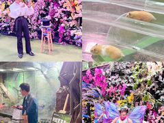 -正佳雨林生态植物园