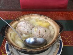-丁老爷子苏香圆