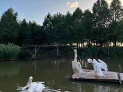 -宁波杭州湾国家湿地公园