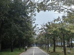 -顺峰山公园