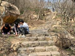 -汤山公园