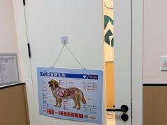 -瑞派康怡24h宠物医院·犬猫医疗中心·微创绝育(瑞景分院)