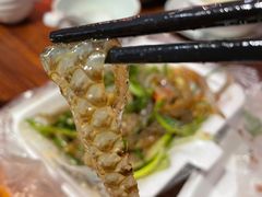 -陈添記·祖傳爽鱼皮·西关老字号(广州首店)