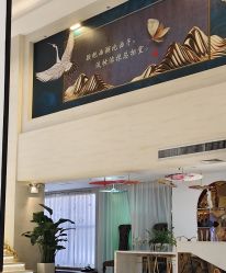 -石家庄苏亚美联臣医疗美容医院