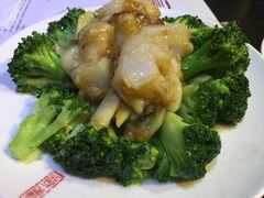 -糖朝(尖沙咀店)