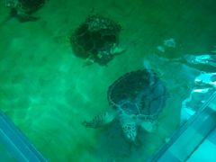 -水上乐园·欢乐世界